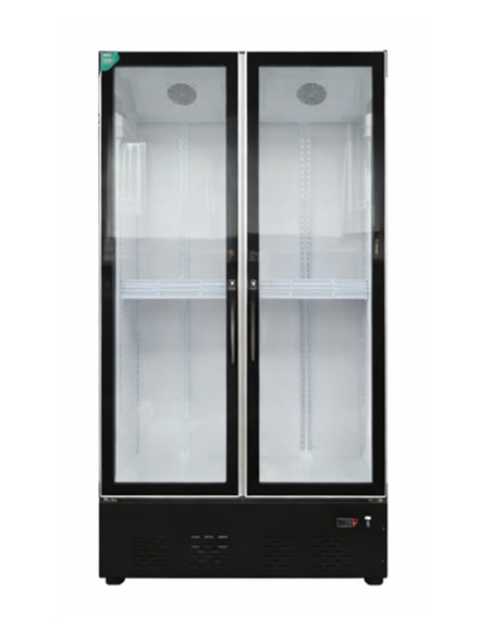 VITRINE FROIDE 2 portes